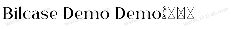 Bilcase Demo Demo字体转换